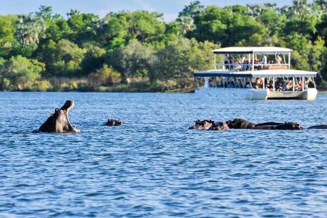Chobe Full Day Safari