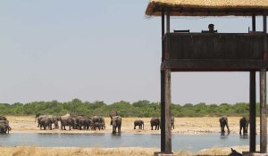 4 Days- Victoria Falls (Zimbabwe) & Chobe (Botswana)
