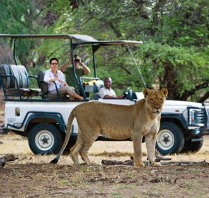 3 Days 2 Nights Victoria Falls Adventure Package