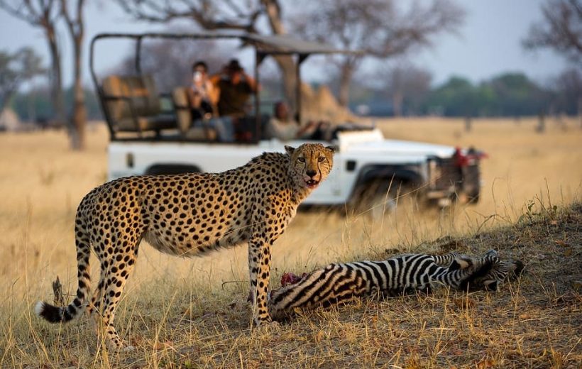 Victoria Falls Full Day Experience